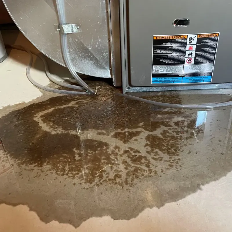 Pipe Burst and Leak Restoration in Lamar County, MS
