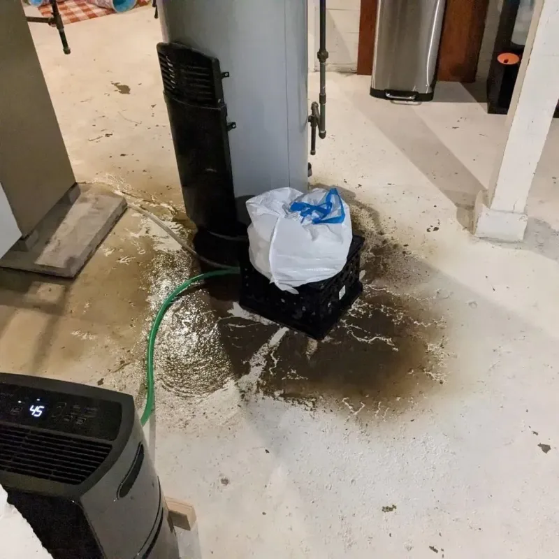 Sewage Backup Cleanup Service in Lamar County, MS